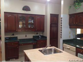 725 E Falconry Ct, Hernando, FL 34442 photo 15