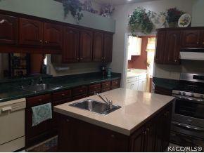 725 E Falconry Ct, Hernando, FL 34442 photo 5