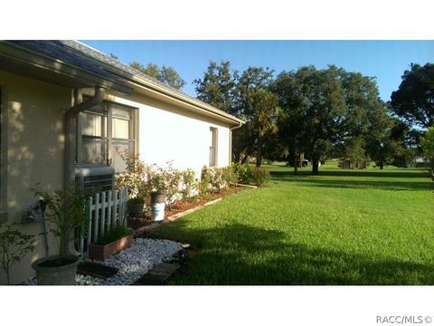 725 E Falconry Ct, Hernando, FL 34442 photo 23