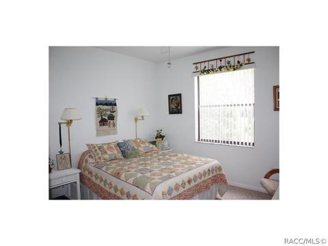347 E Keller Ct, Hernando, FL 34442 photo 12