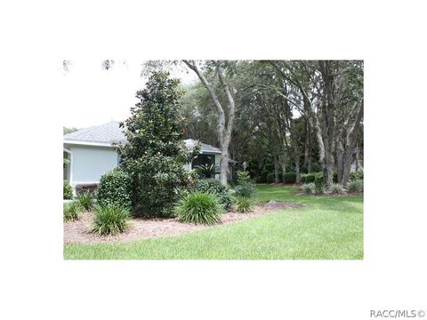 347 E Keller Ct, Hernando, FL 34442 photo 16