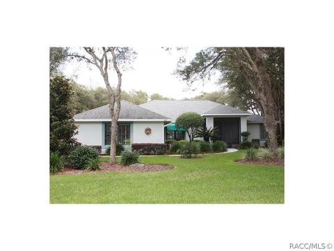 347 E Keller Ct, Hernando, FL 34442 photo 1