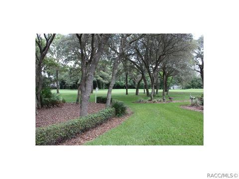 347 E Keller Ct, Hernando, FL 34442 photo 15