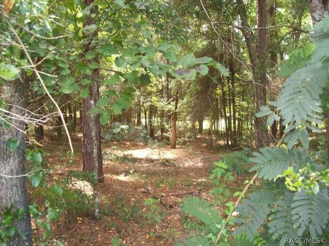 5280 E Lambert, Inverness, FL 34452 photo 4
