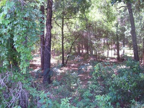 5280 E Lambert, Inverness, FL 34452 photo 3