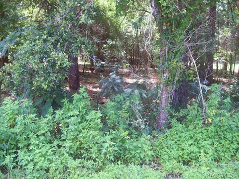 5280 E Lambert, Inverness, FL 34452 photo 6