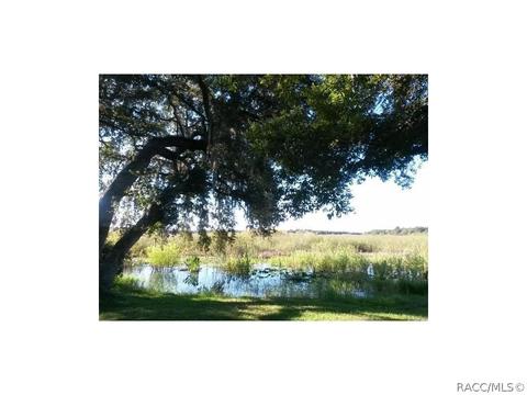 7544 E Ringer Ct, Inverness, FL 34453 photo 2