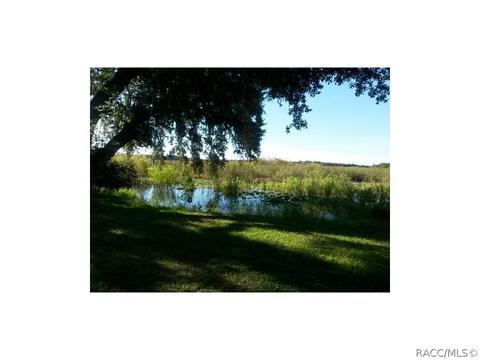 7544 E Ringer Ct, Inverness, FL 34453 photo 3