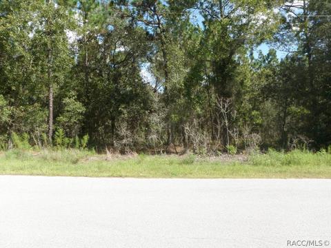 1777 W Stafford St, Hernando, FL 34442 photo 1