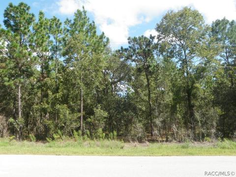 1777 W Stafford St, Hernando, FL 34442 photo 2