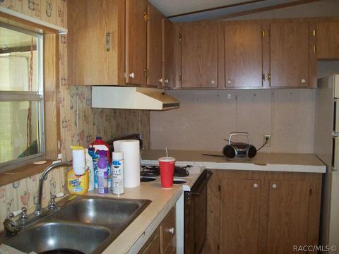 3258 E Millwood Ln, Hernando, FL 34442 photo 3