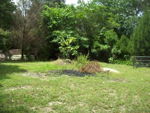 3258 E Millwood Ln, Hernando, FL 34442 photo 12