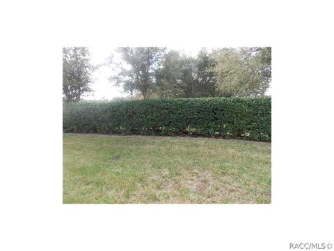 928 W Silver Meadow Loop, Hernando, FL 34442 photo 21