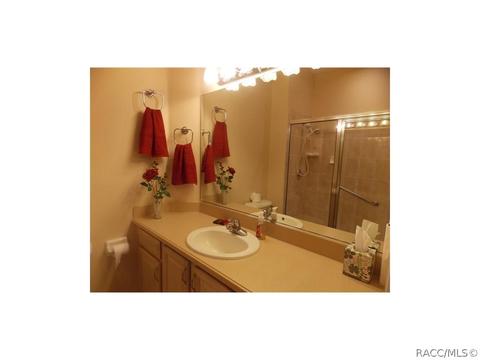 928 W Silver Meadow Loop, Hernando, FL 34442 photo 18