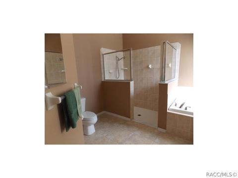 928 W Silver Meadow Loop, Hernando, FL 34442 photo 12