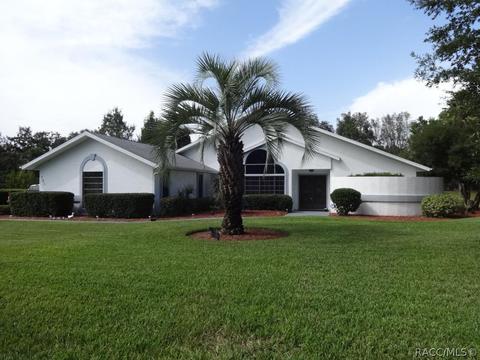 751 E Falconry, Hernando, FL 34442 photo 19