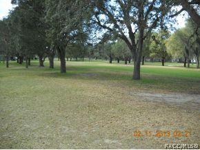 751 E Falconry, Hernando, FL 34442 photo 17