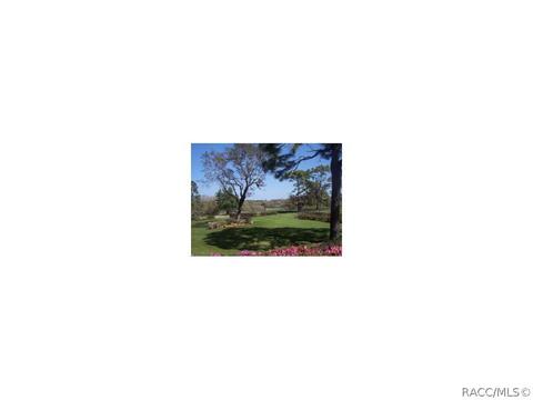 4044 N Pine Valley Loop, Lecanto, FL 34461 photo 23