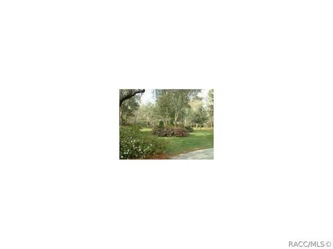 4044 N Pine Valley Loop, Lecanto, FL 34461 photo 4