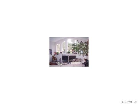 4044 N Pine Valley Loop, Lecanto, FL 34461 photo 10