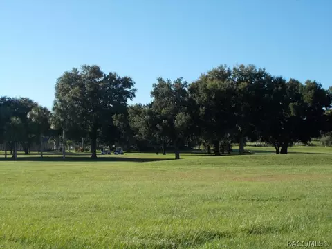 514 E Falconry, Hernando, FL 34442 photo 2