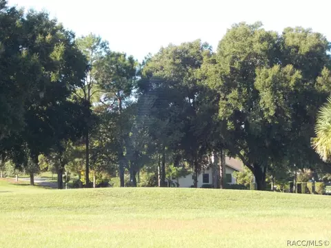 514 E Falconry, Hernando, FL 34442 photo 3
