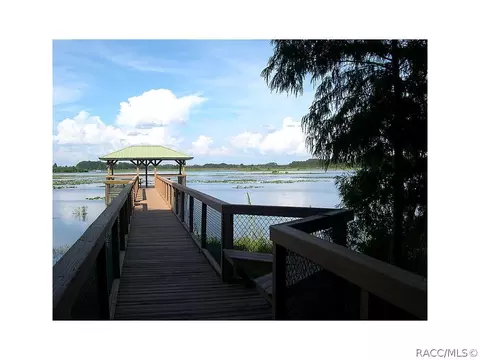 3757 E Kiwi Cove Ct, Hernando, FL 34442 photo 4