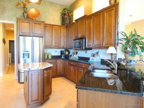 419 W Mickey Mantle Path, Hernando, FL 34442 photo 9