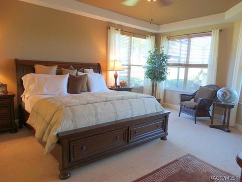419 W Mickey Mantle Path, Hernando, FL 34442 photo 6