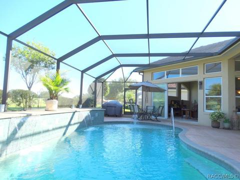 419 W Mickey Mantle Path, Hernando, FL 34442 photo 30