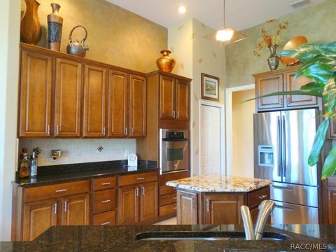 419 W Mickey Mantle Path, Hernando, FL 34442 photo 10