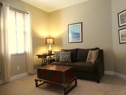 419 W Mickey Mantle Path, Hernando, FL 34442 photo 23