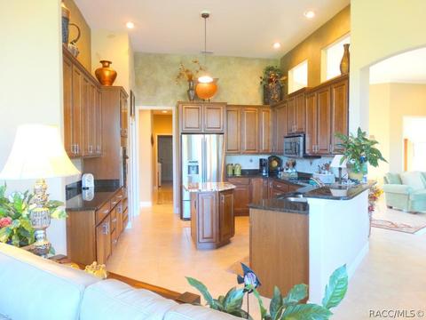 419 W Mickey Mantle Path, Hernando, FL 34442 photo 17
