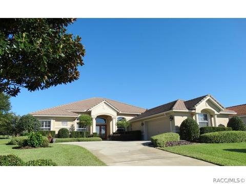 419 W Mickey Mantle Path, Hernando, FL 34442 photo 1