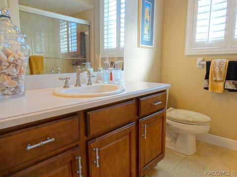 419 W Mickey Mantle Path, Hernando, FL 34442 photo 24