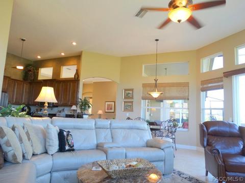 419 W Mickey Mantle Path, Hernando, FL 34442 photo 19