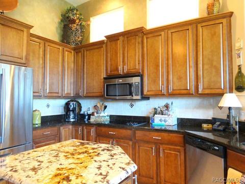 419 W Mickey Mantle Path, Hernando, FL 34442 photo 11