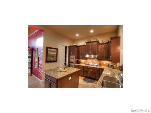 1928 N Eagle Chase Dr, Hernando, FL 34442 photo 8
