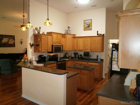 485 W National St, Hernando, FL 34442 photo 3