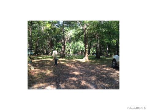 6459 E Sioux Canal Dr, Hernando, FL 34442 photo 6