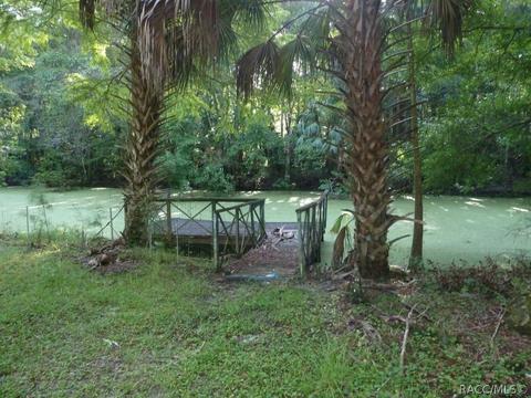6459 E Sioux Canal Dr, Hernando, FL 34442 photo 4