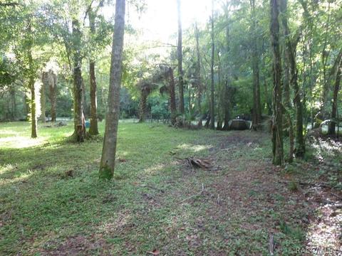 6459 E Sioux Canal Dr, Hernando, FL 34442 photo 3