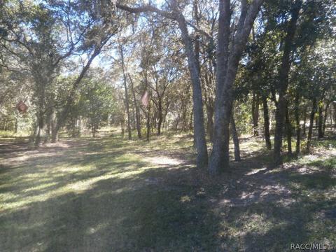 306 W Keller St, Hernando, FL 34442 photo 24