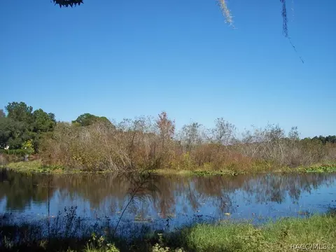 4055 E Woodduck, Hernando, FL 34442 photo 3