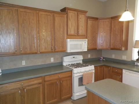 1776 E Citation Path, Inverness, FL 34453 photo 3