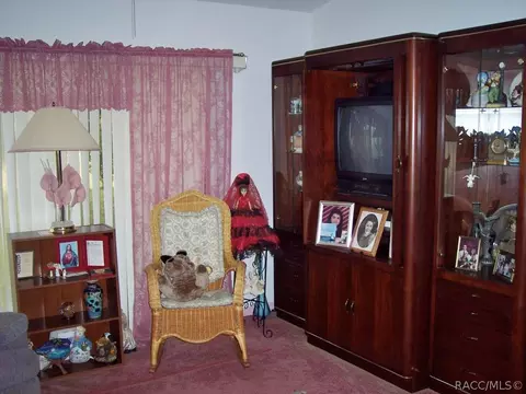545 E Connecticut, Hernando, FL 34442 photo 7