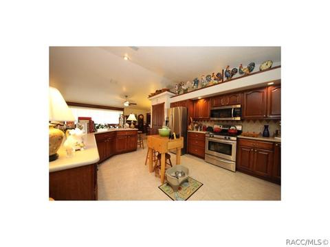 627 E Savoy St, Lecanto, FL 34461 photo 9