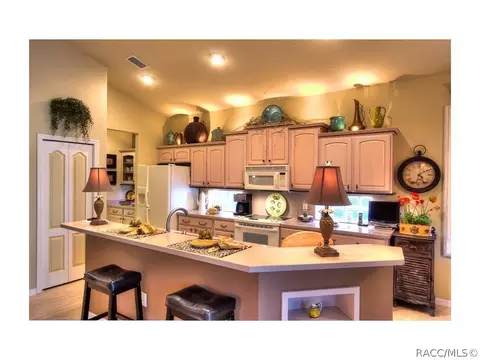 459 W Doerr Path, Hernando, FL 34442 photo 12