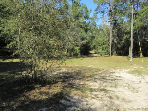 3535 N Sarah Pt, Hernando, FL 34442 photo 21