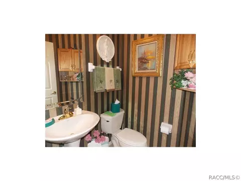 1701 N Shadowview Path, Hernando, FL 34442 photo 24